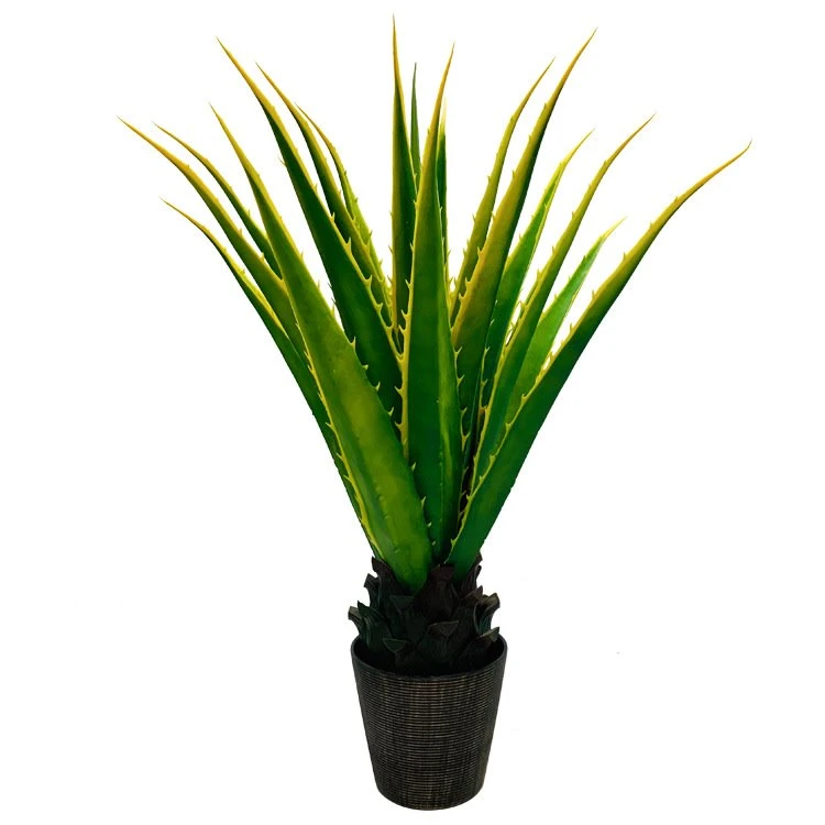 Umetna agava