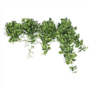 Umetna rastlina Pothos